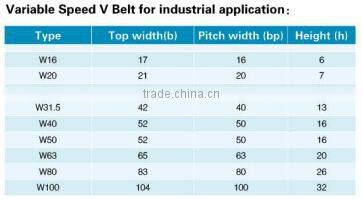 Variable Speed V-Belt