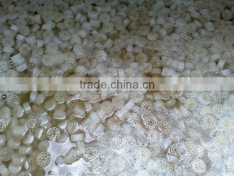 Biocell filter media for water treatment/Biofilm wastewater treatment