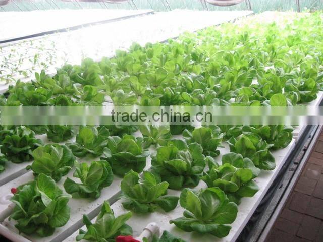 Hydroponic system for vegetable growth