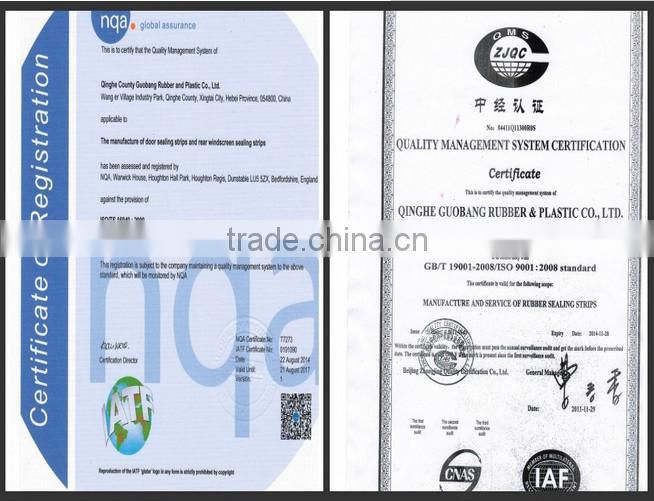 Transparent silicone braided hose