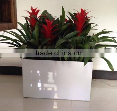 New design self-watering PP miniature garden