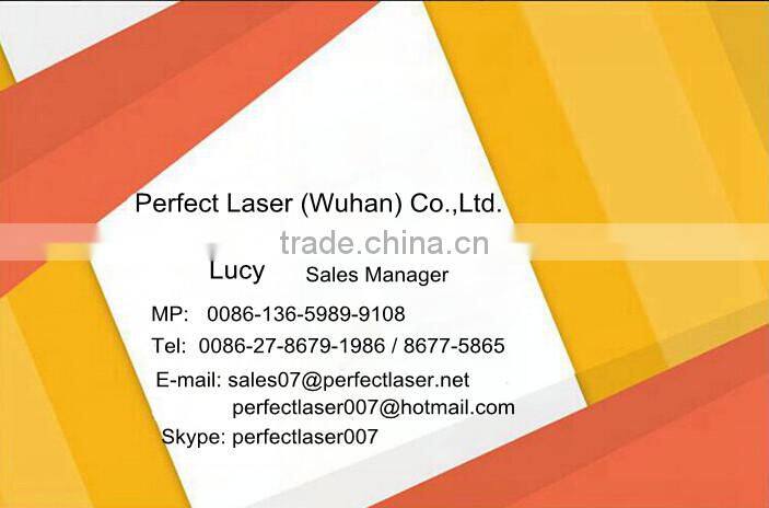 Perfect Laser PE-W450II 450w Fiber Stainless Steel Laser Welding Machine