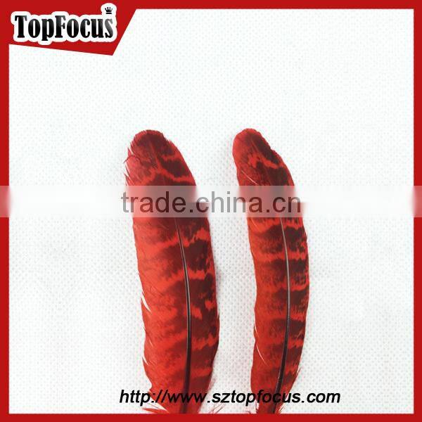 natural ringneck rounds cheap dyed pheasant feathers sale