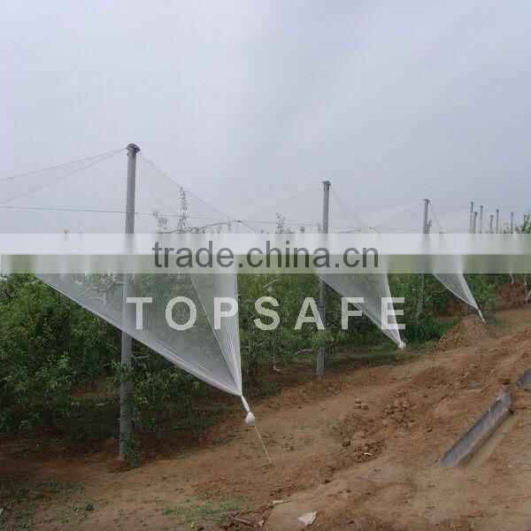 Anti-hail netting