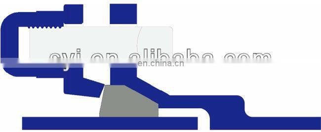 Ductile iron Flange strianer