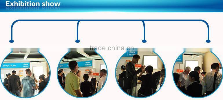 oem best selling double line smd 240led/m 3528led strip