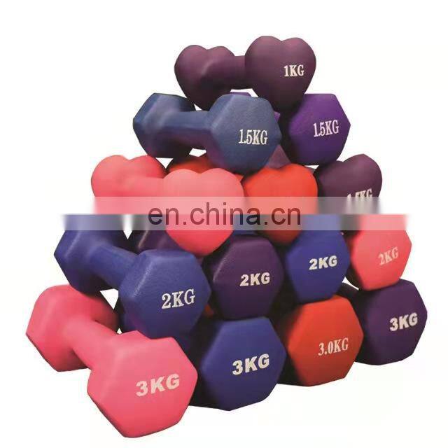 20kg Free Weight Lifting Gym Equipment Mancuernas 10Kg Weights Hantel Hexagon Hexagonal Dumbell Rubber Hex Dumbbells Sets