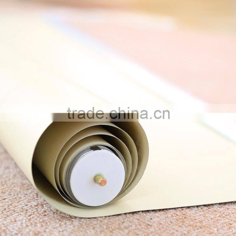 Blackout and transparent roller blinds /sunscreen roller blind motor cutain