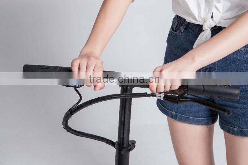 GP-29 Approval Adult electric scooter with carbon fiber, slightest electric scooter