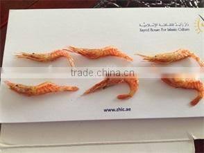 dried shrimp