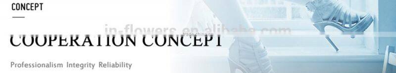 Wooden handle eco-friendly Professional makeup brush set