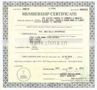 Mayo-Harrington Straight ,Surgical Scissor,surgical dressing scissors