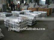 Through bolt and side bolt