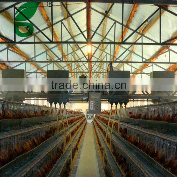 Automatic animal farm equipment poultry drinkers and chicken feeding system