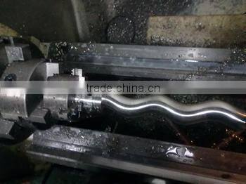 Hot sale Stainess steel Rotor of Seepex single screw pumps BN17-6L