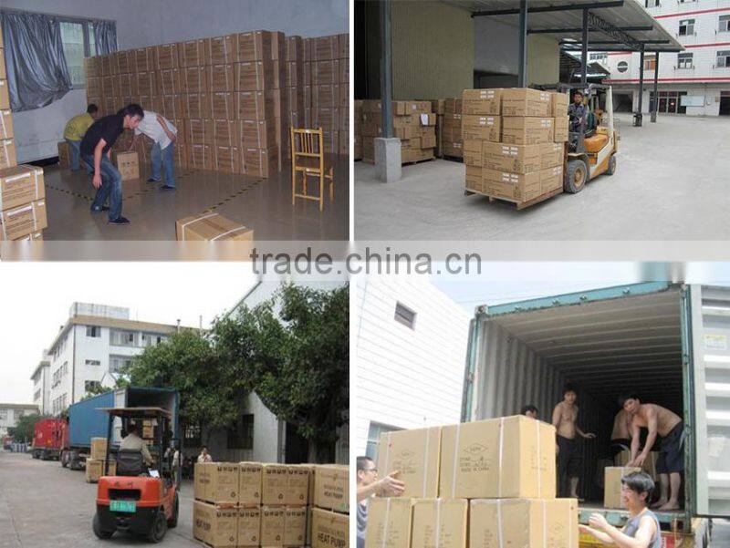 food grade clear/transparent 12pcs macaron blister plastic packaging tray/container