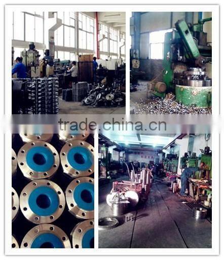 OEM Forged Carbon Steel WN Flange