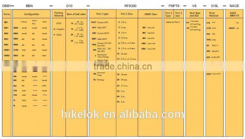 1/2 Female NPT Standard Outlet with Plug Double Block Valves Manifolds