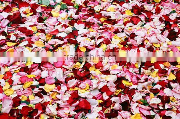 Pure Rose Essential Oil On Sale From BORG EXPORT