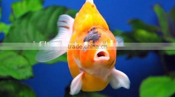 FRS-JPM FRESH Japanese filter mat /aquarium filter mat used in fish pond