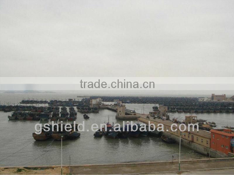 cheap price size 200-300g/pcs whole round frozen mackerel