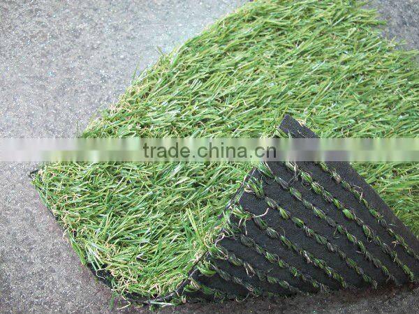 Green turf grass for garden