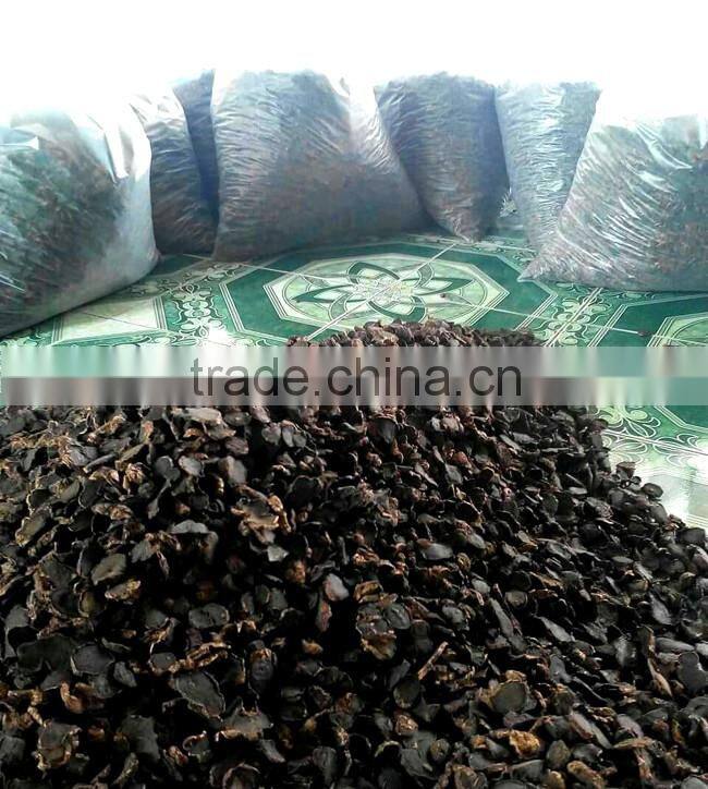 Dried Thai herbal medicine Plai herbal product (Essential oil)