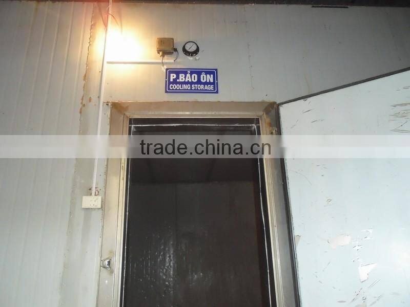 best quality fresh ginger 2016