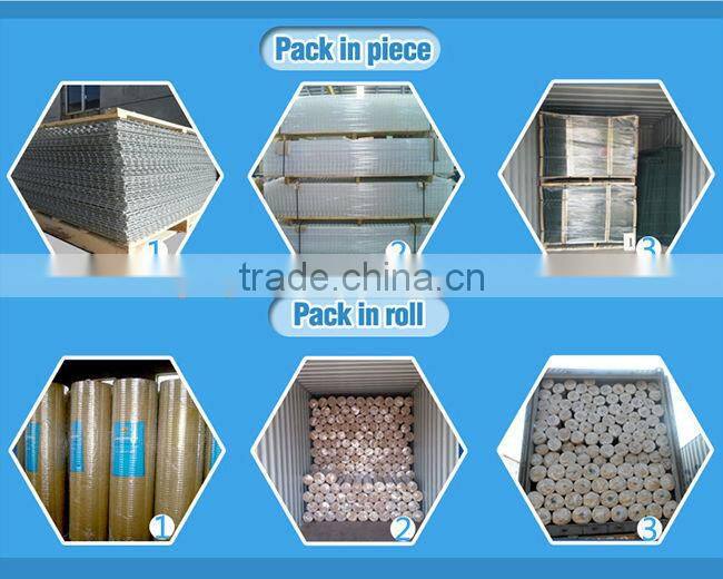 2X2 stainless steel welded wire mesh