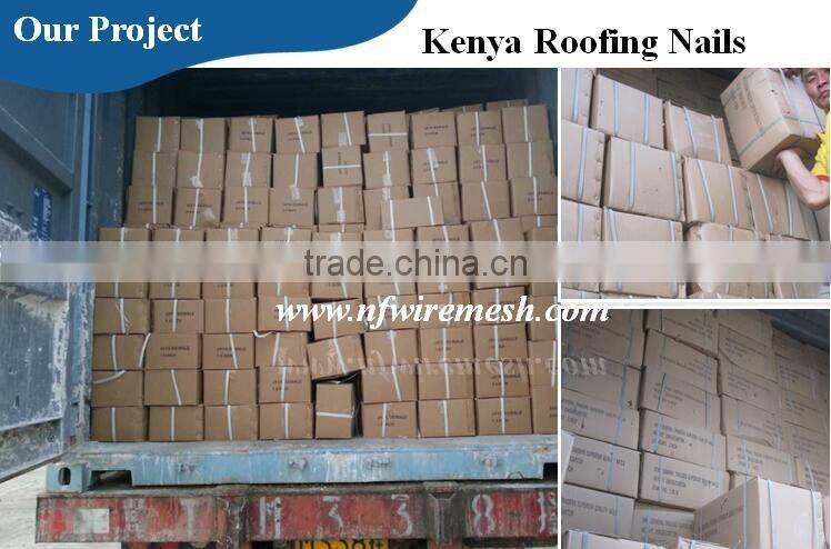 Pakistan high quality polished iron common wire nails for building(Guangzhou Factory)
