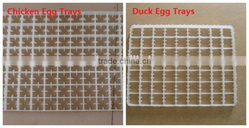Temperature&humidity control 15000 Eggs Incubator