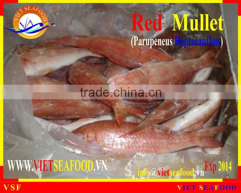 FROZEN WHOLE ROUND RED MULLET