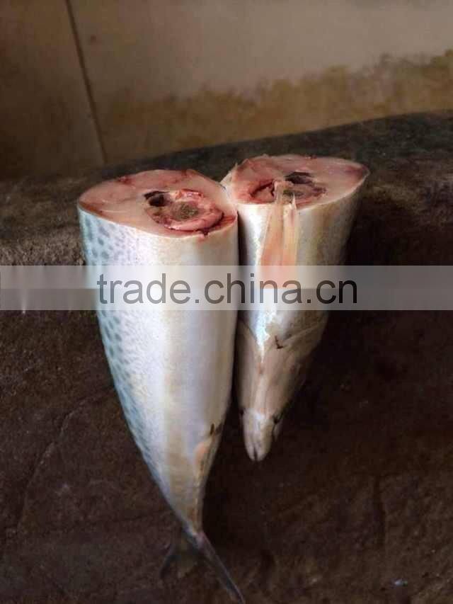 300-400g frozen fish