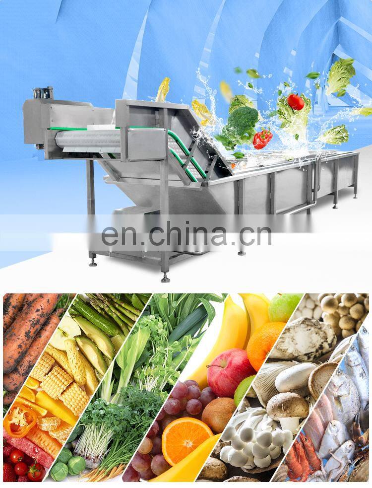 Automatic Vegetable Fruit washing line fruit vegetable processing machine automatic fruit washing air dryer processing line