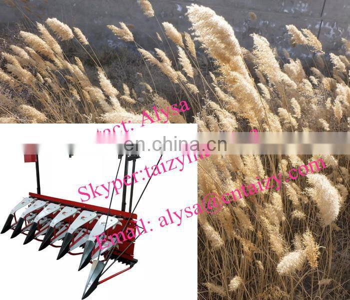 Factory Direct Sales new small mini reed combine harvester, reed combine harvester