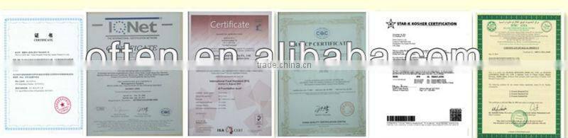 Newest Canned Ketchup without additives