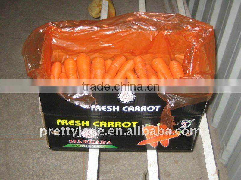 Chinese wholesale fresh carrot