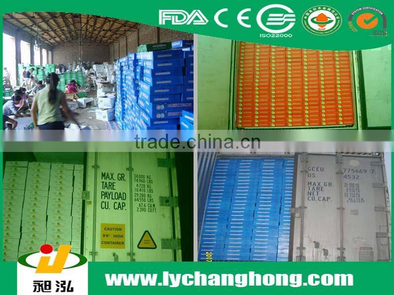 Fresh early-mature su pear supplier in China