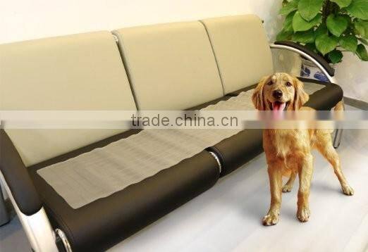 Puppy Indoor Training Mat