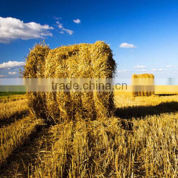 Tractor PTO Driven Small Round Balers