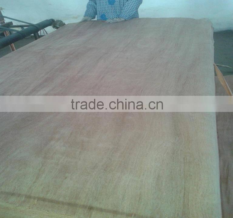 Natural Gurjan Veneer for India Market 0.3mm & 0.5mm
