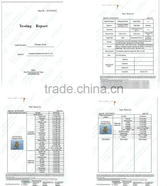 Chinese Jasmine Organic Tea 10 Sachets