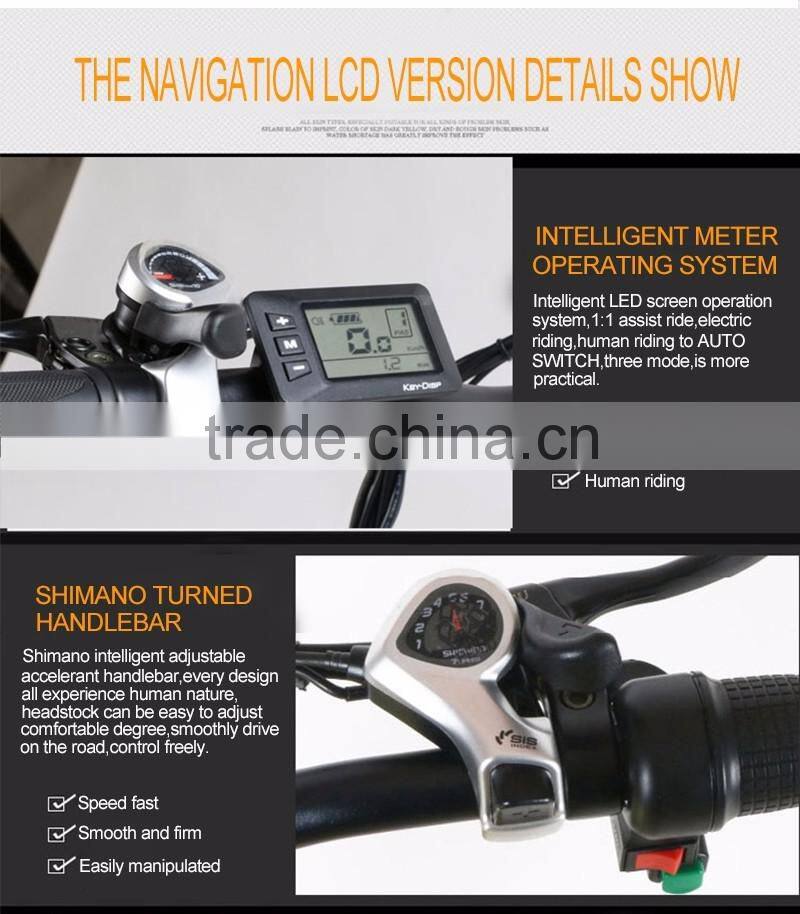 36V 350W brushless motor E BIKE/fastest e bike with lithium battery