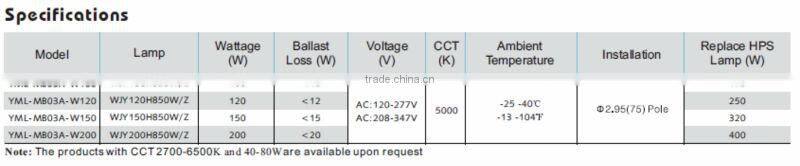 Acorn lamp induction 40-200W courtyard bulb 100w e27