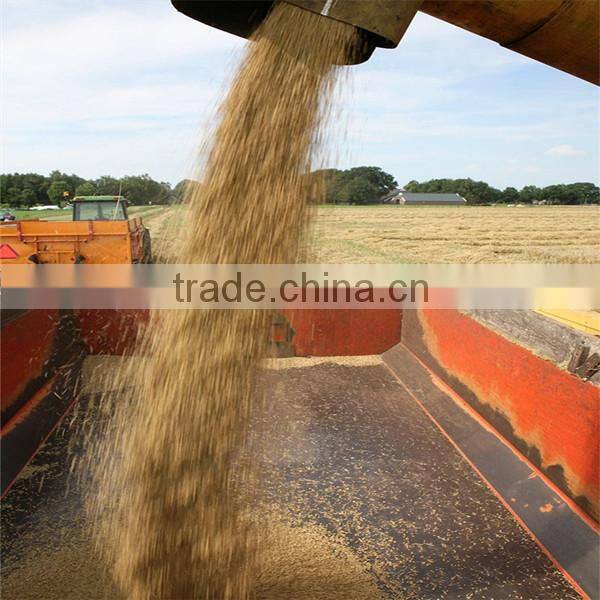 Australia barley for food beer feed cheap