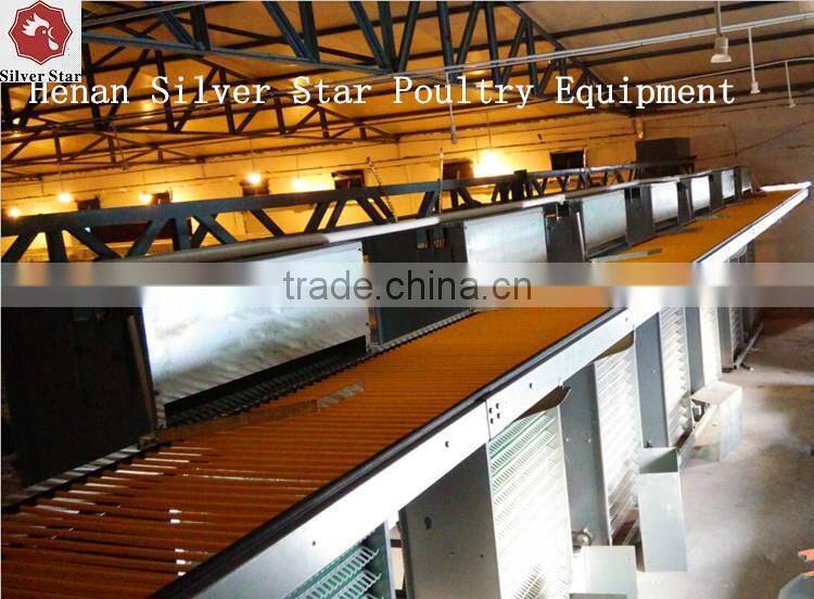 3 tier design A type ladder layer cages for chickens with scarpper manure removal system