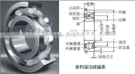Standard stainless steel deep groove ball bearing for food industry