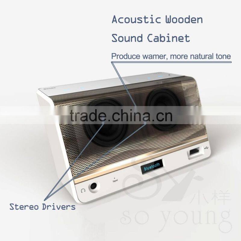 SHABA VS-33 Luxury-Portable HiFi Wireless Bluetooth Speaker Powerful Sound FM/NFC/Handsfree/Mic