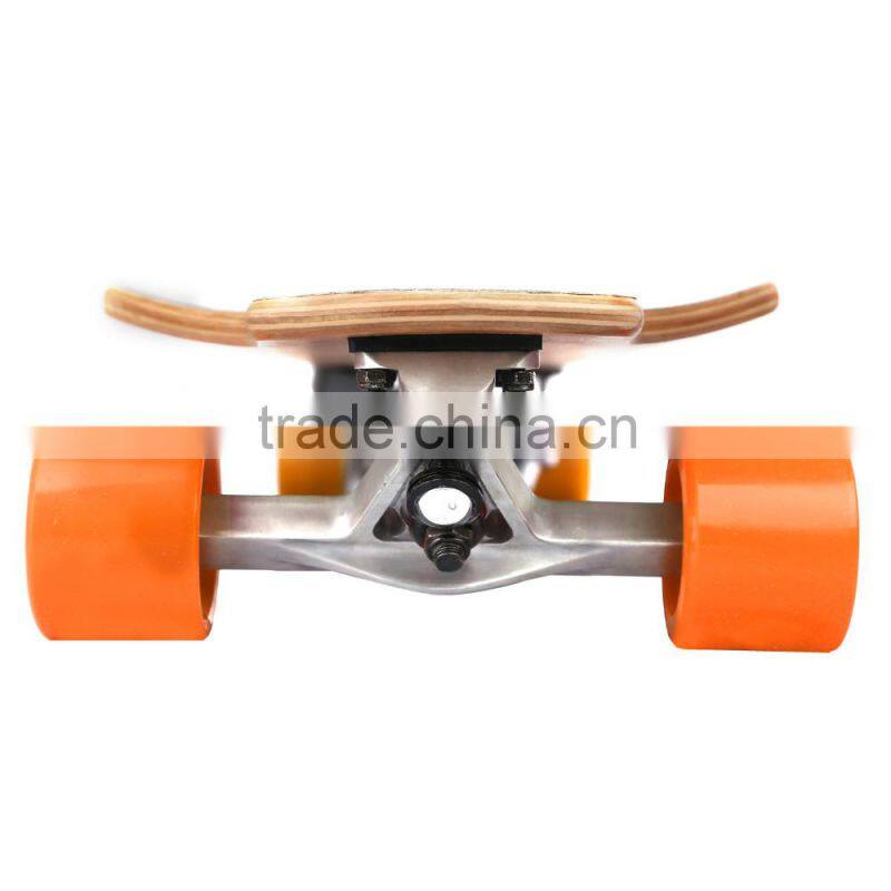 Cheap price altered electric skateboard / Removeable battery pack electric skateboard