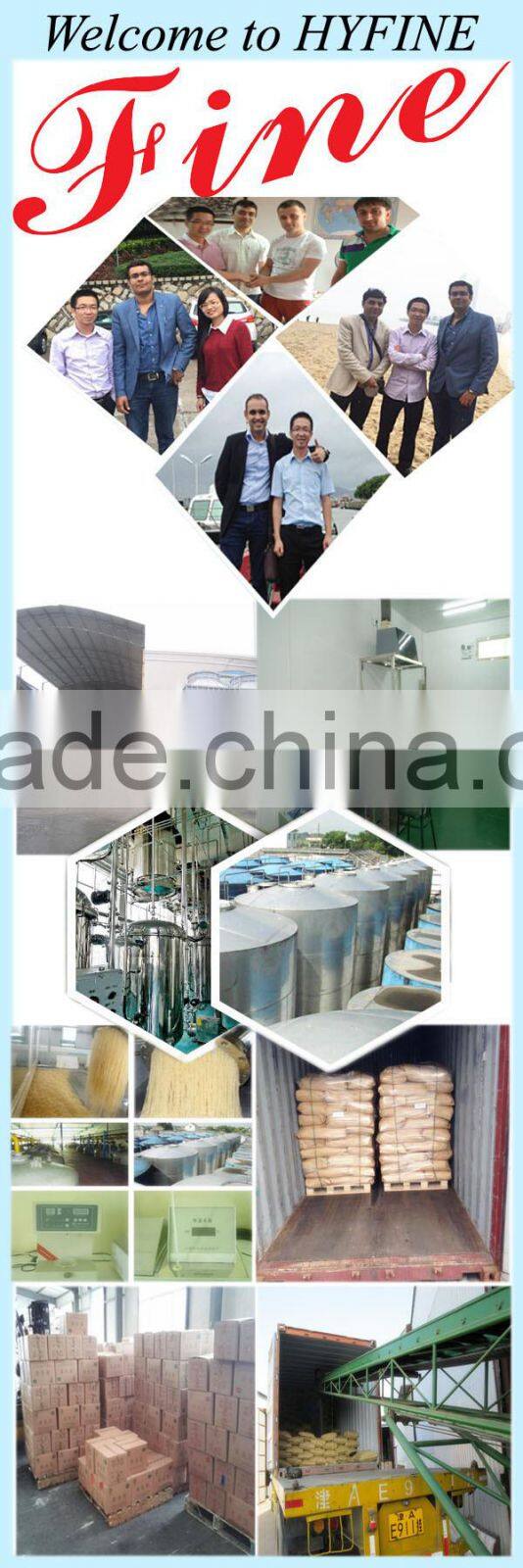 High quality hydrolyzed bovine Collagen powder for sports beverage